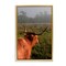 Stupell Industries Highland Cow Gazing Out Floating Frame, design by Jenny Rainbow Fine Art